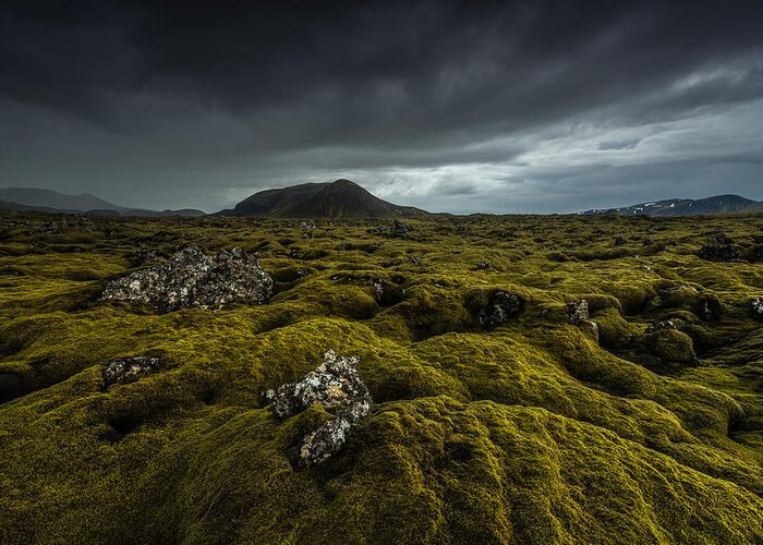 Landscape Greeting Card featuring the photograph Green Carpet by Raymond Hoffmann
