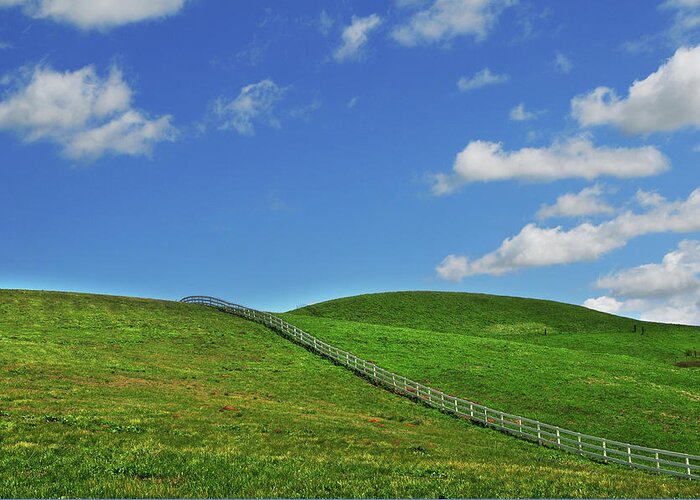 Scenics Greeting Card featuring the photograph Green Hills And Fence by Mitch Diamond