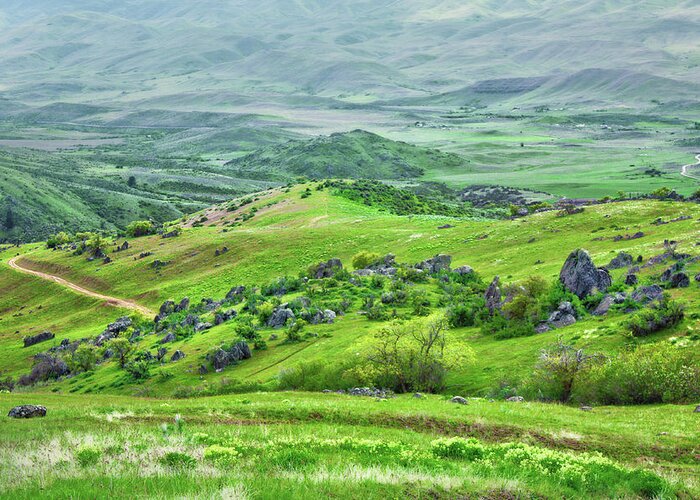 Grass Greeting Card featuring the photograph Green Hills Of Rural Idaho by Anna Gorin