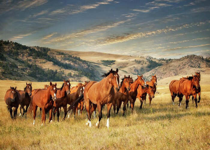 Ranch Greeting Card featuring the photograph Greener Pastures by Phyllis Burchett