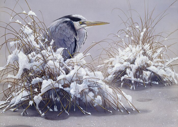 Grey Heron Greeting Card featuring the painting Grey Heron by Harro Maass