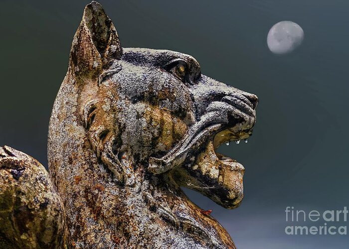 Howl Greeting Card featuring the photograph Guardian of the Night by David Meznarich