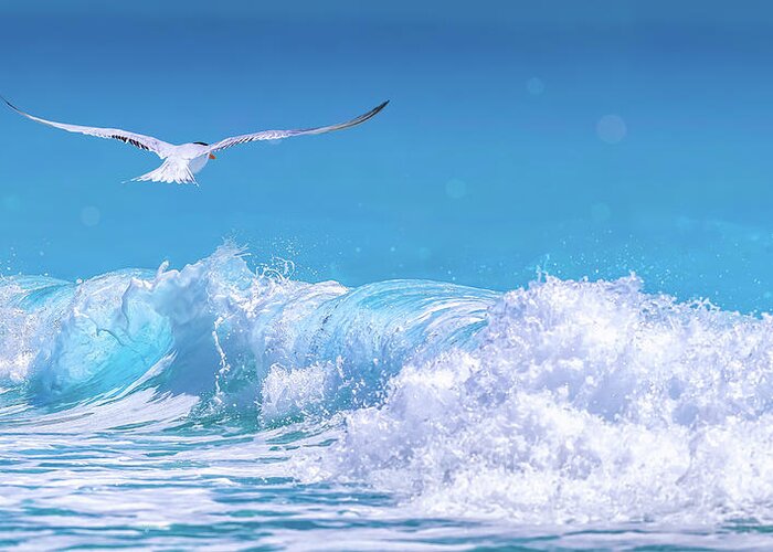 Gull In The Waves Greeting Card featuring the photograph Gull In The Waves by Jonathan Ross
