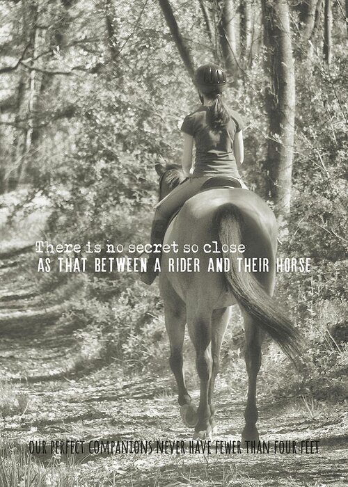 Barn Greeting Card featuring the photograph HACKING quote by Dressage Design