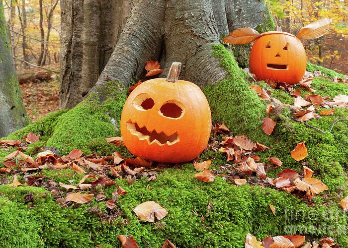 Pumpkins Greeting Card featuring the photograph Halloween scary pumpkins in the woods by Simon Bratt