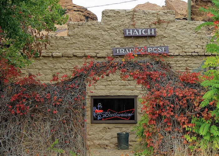 Trading Post Greeting Card featuring the photograph Hatch Trading Post by Jonathan Thompson