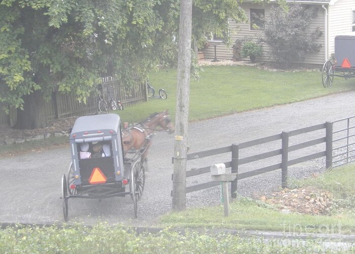 Amish Greeting Card featuring the photograph Heading to a Sunday Gathering by Christine Clark
