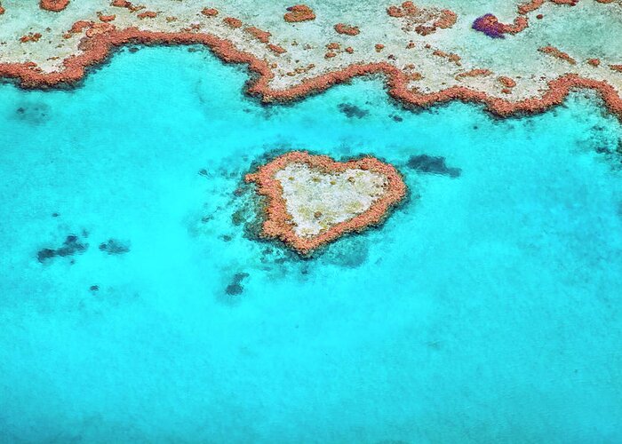 Scenics Greeting Card featuring the photograph Heart Reef by Aaron Foster