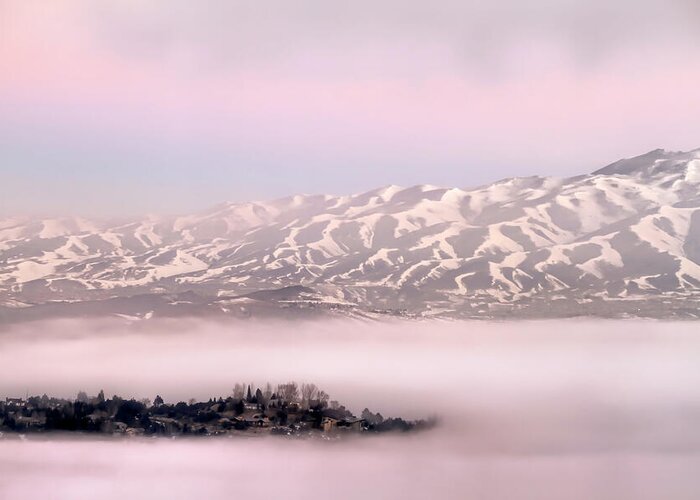 Freezing Fog Greeting Card featuring the photograph Heavy Fog at Sunrise by Donna Kennedy