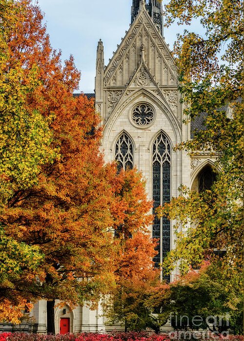 Heinz Chapel Greeting Card featuring the photograph Heinz Chapel Autumn Trees by Thomas R Fletcher