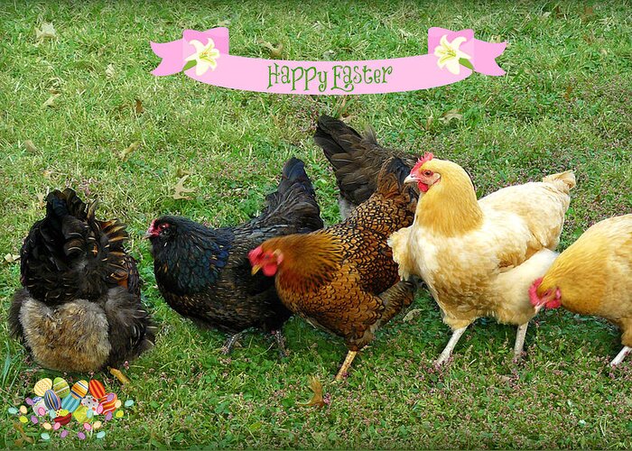 Easter Greeting Card featuring the photograph Henny Hen Shows off her Egg Laying Skills - Charles City, VA by Marilyn DeBlock