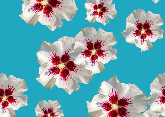 Hibiscus Flower Greeting Card featuring the mixed media Hibiscus Flower Pattern by Christina Rollo