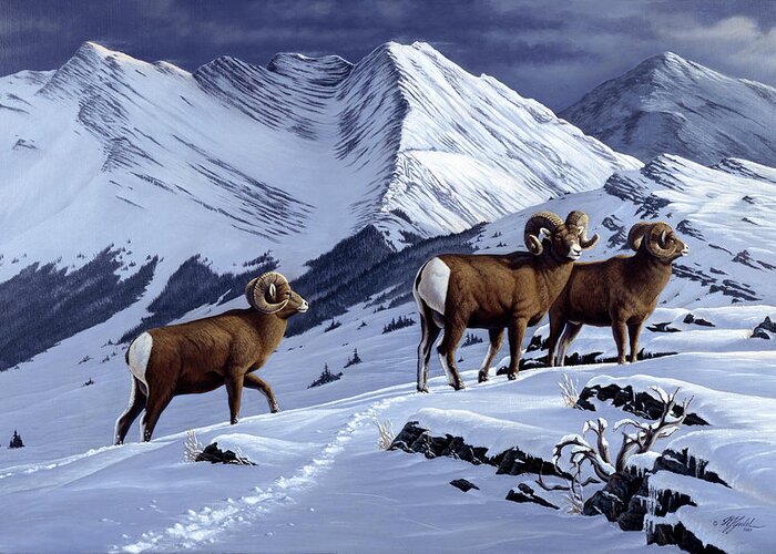 High Country Rams Greeting Card featuring the painting High Country Rams by Wilhelm Goebel