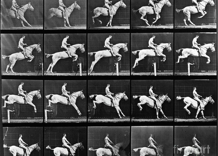 Horse Jump Greeting Card featuring the photograph High-speed Horse Jump Sequence By Muybridge by Eadweard Muybridge Collection/kingston Museum/science Photo Library