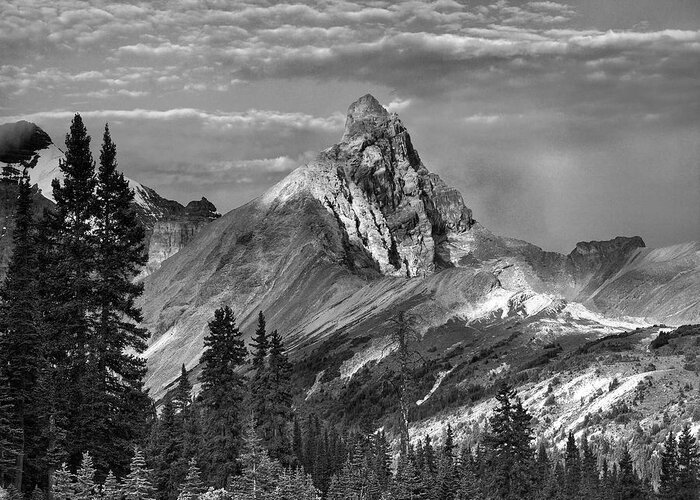 Disk1215 Greeting Card featuring the photograph Hilda Peak Banff National Park by Tim Fitzharris