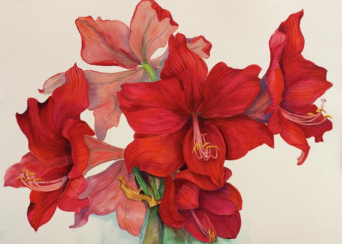Red Amaryllis Bouquet
Christmas Greeting Card featuring the painting Holiday Amaryllis by Joanne Porter