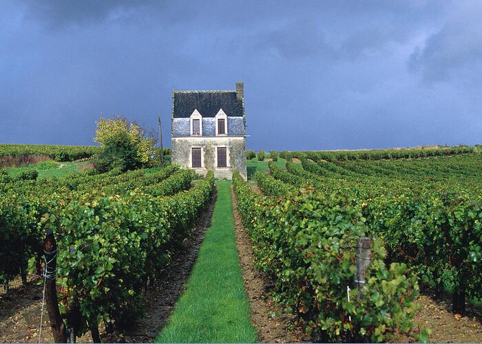 Loire Valley Greeting Card featuring the photograph House In A Vineyard, Loire Valley by Oliver Strewe