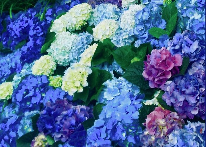 Photo Stream Greeting Card featuring the photograph Hydrangeas to the Left by Debra Grace Addison