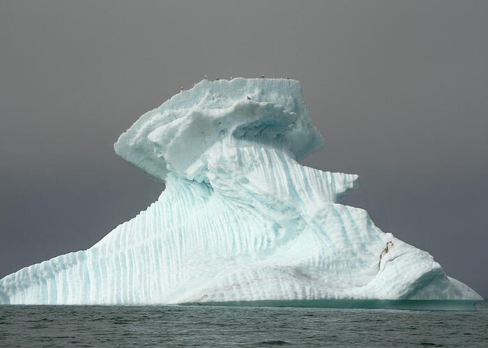 Arctic Greeting Card featuring the photograph Iceberg #3 by Minnie Gallman