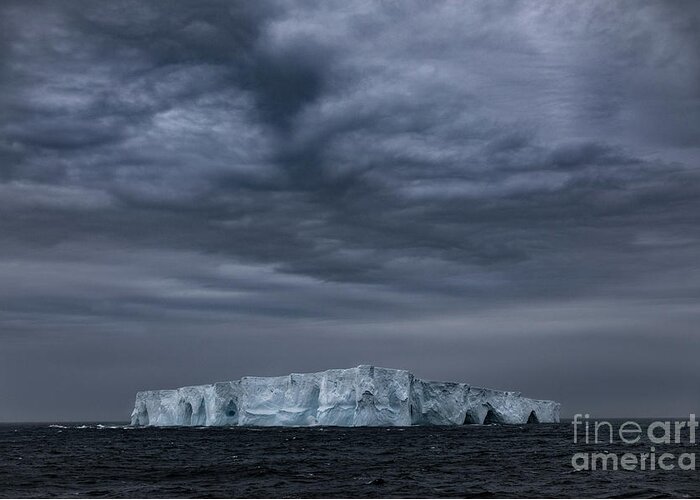 South Georgia Greeting Card featuring the photograph Iceberg and Clouds by Patti Schulze