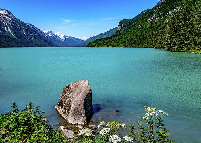 Chilkoot Lake Greeting Card featuring the photograph Idyllic Afternoon by Marcy Wielfaert