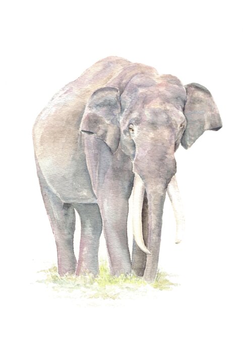 Elephant Greeting Card featuring the painting In Charge by Elizabeth Lock