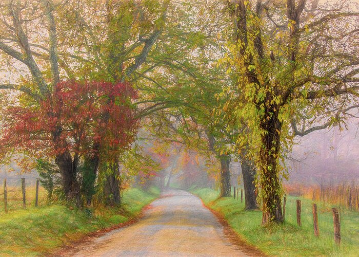 Cades Cove Greeting Card featuring the photograph In the Light of Autumn by Marcy Wielfaert