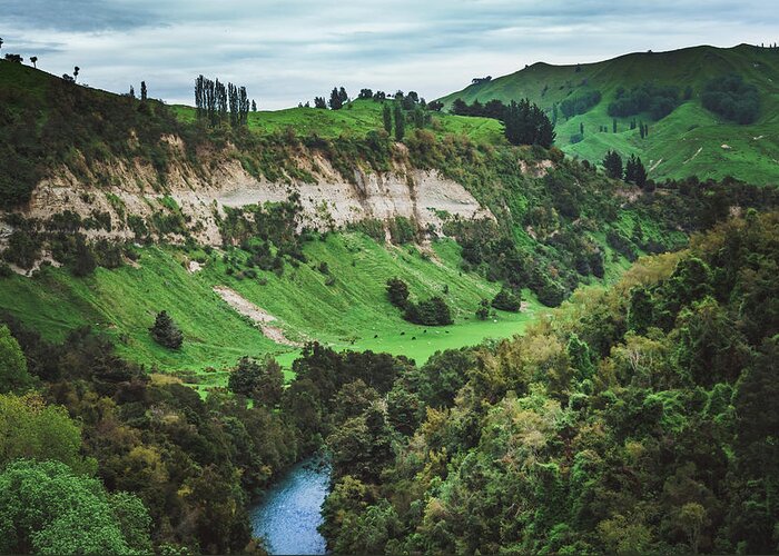 New Zealand Greeting Card featuring the photograph In The Valley by Nisah Cheatham