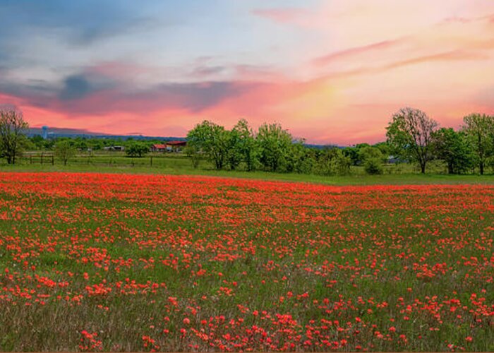  Postcards From Texas Greeting Card featuring the photograph Indian Paintbrush Field by G Lamar Yancy