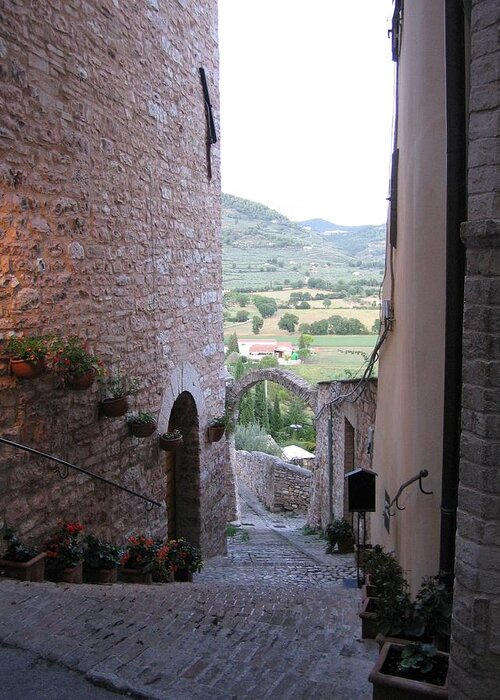 Italy Greeting Card featuring the photograph Spectacular Spello by Patricia Caron