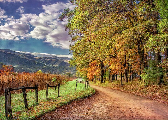Cades Cove Greeting Card featuring the photograph It's Finally Fall by Marcy Wielfaert