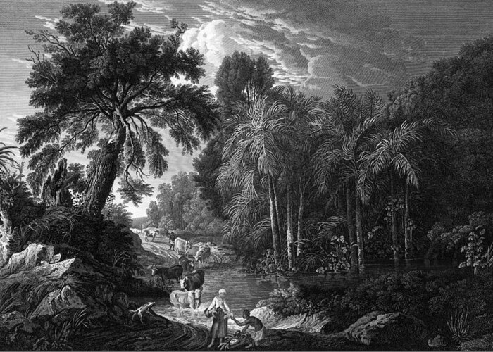 B1019 Greeting Card featuring the painting Jamaica, 1778 by James Mason