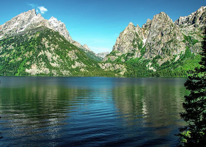Grand Tetons National Park Greeting Card featuring the photograph Jenny Lake Morning by Marcy Wielfaert