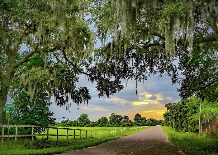 Johns Island Greeting Card featuring the photograph Johns Island Backroads by Kylie Jeffords