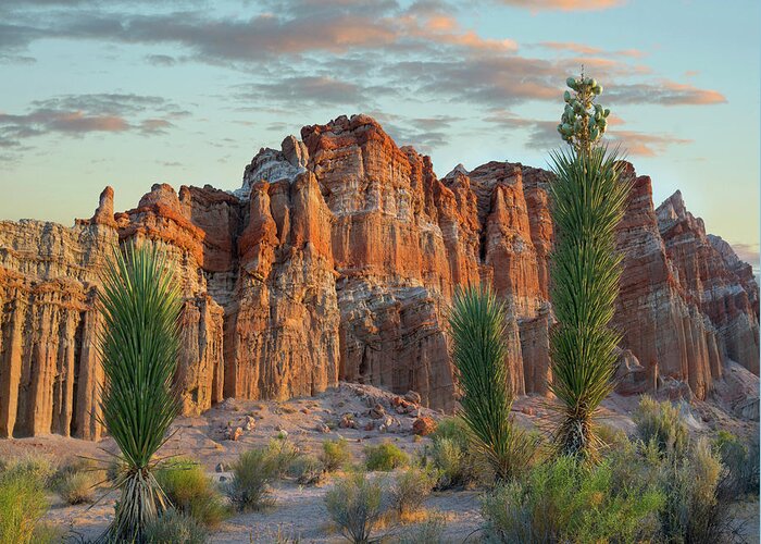 00574899 Greeting Card featuring the photograph Joshua Trees Red Rock Canyon by Tim Fitzharris