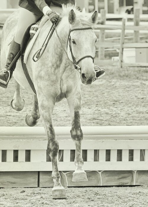 Art Greeting Card featuring the photograph Jumping Vertical by Dressage Design