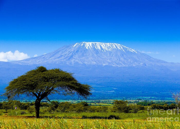 Tanzania Greeting Card featuring the photograph Kilimanjaro On African Savannah by Andrzej Kubik