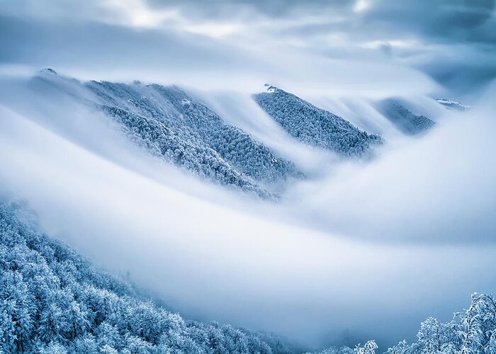 Balkan Mountains Greeting Card featuring the photograph Kingdom Of the Mists by Evgeni Dinev