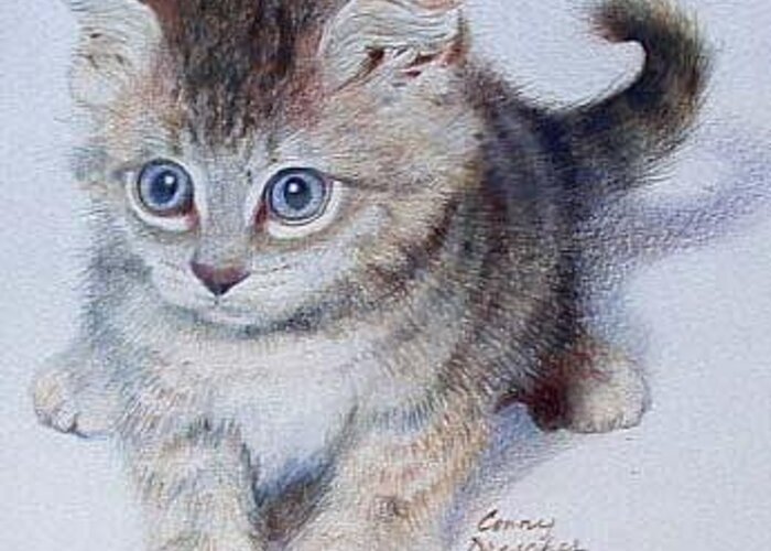 Kitten Greeting Card featuring the drawing Kitten by Constance DRESCHER