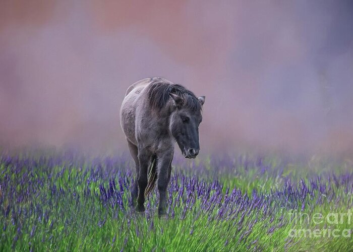 Konik Greeting Card featuring the photograph Konik in a Flower Field by Eva Lechner