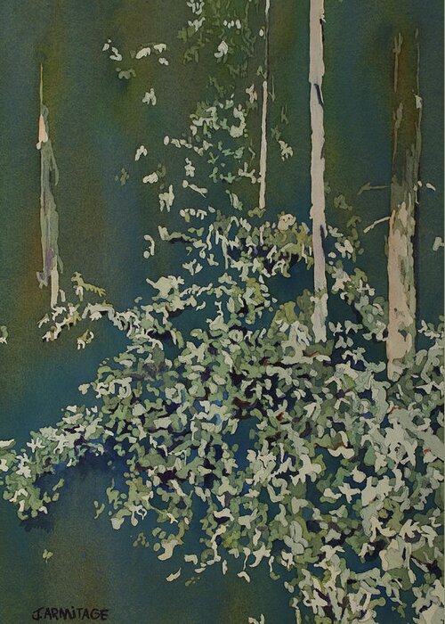 Forest Greeting Card featuring the painting Lacy Edge by Jenny Armitage