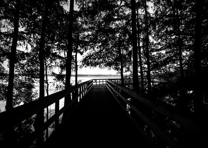 Lake Ashby Greeting Card featuring the photograph Lake Ashby Boardwalk by Robert Stanhope
