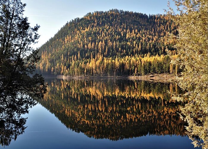 Landscape Greeting Card featuring the photograph Lakeside Reflections by Mike Helland