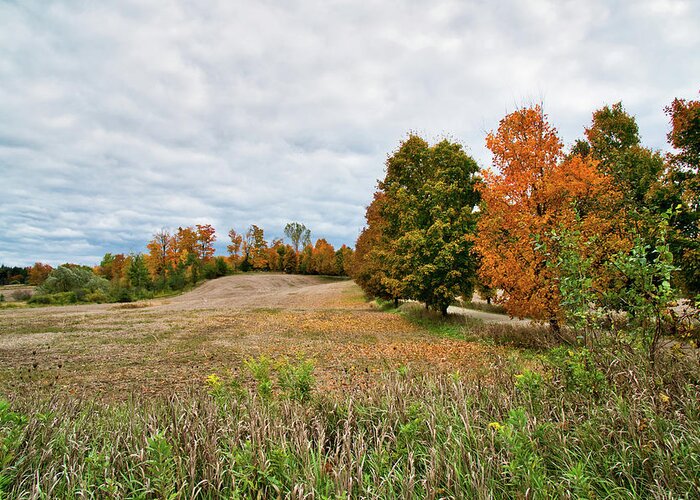 Fall Greeting Card featuring the photograph Landscape In The Fall by Nick Mares