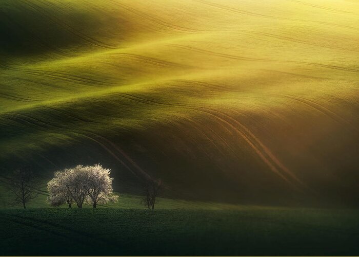 Landscape Greeting Card featuring the photograph Last Rays by Grzegorz Lewandowski