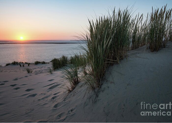 Natural Environment Greeting Card featuring the photograph Last Sunlight For Today by Hannes Cmarits