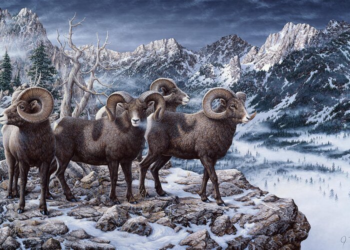 4 Rams Standing On A Snow Covered Ledge Overlooking The Valley Wildlife Greeting Card featuring the painting Late Season Big Horns by Jeff Tift