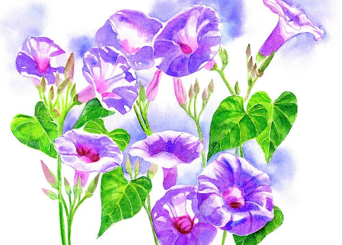 Morning Glory Greeting Card featuring the painting Lavender Morning Glory Flowers by Sharon Freeman