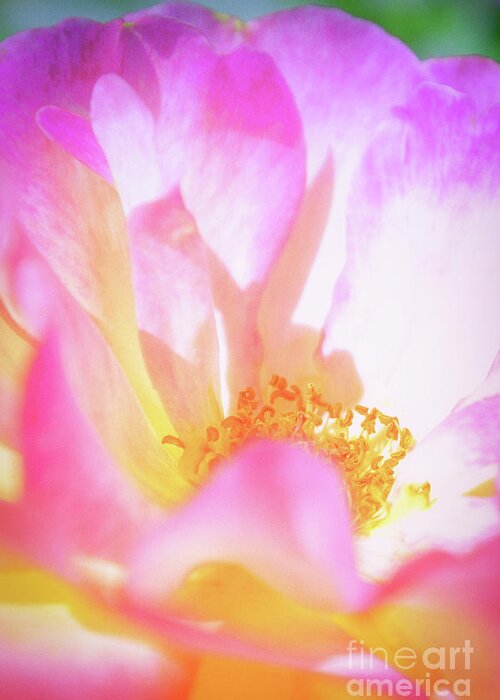 Garden Greeting Card featuring the photograph Layers of Happiness by Becqi Sherman