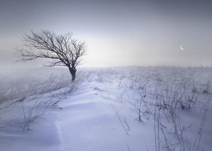 Nebraska Greeting Card featuring the photograph Leaning In by Andy Linkhart